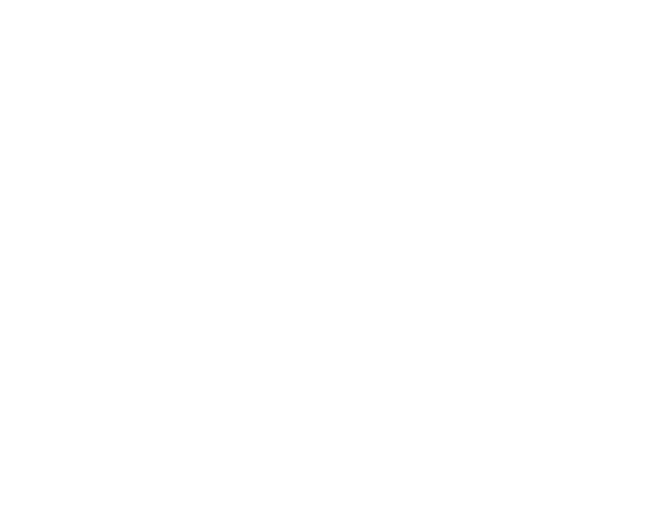logo main